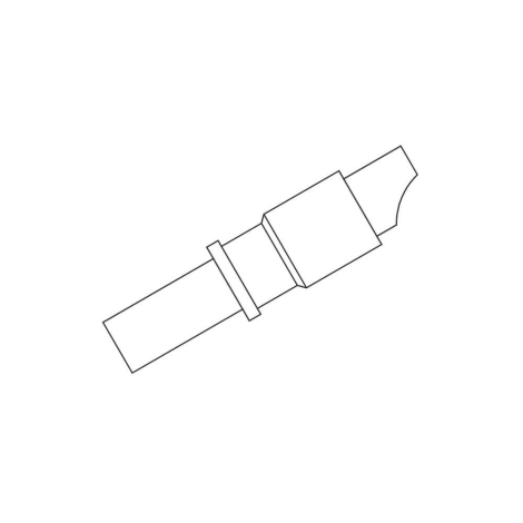 SS20-GN.jpg